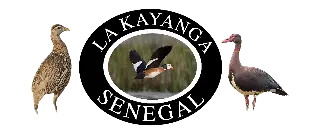 La Kayanga